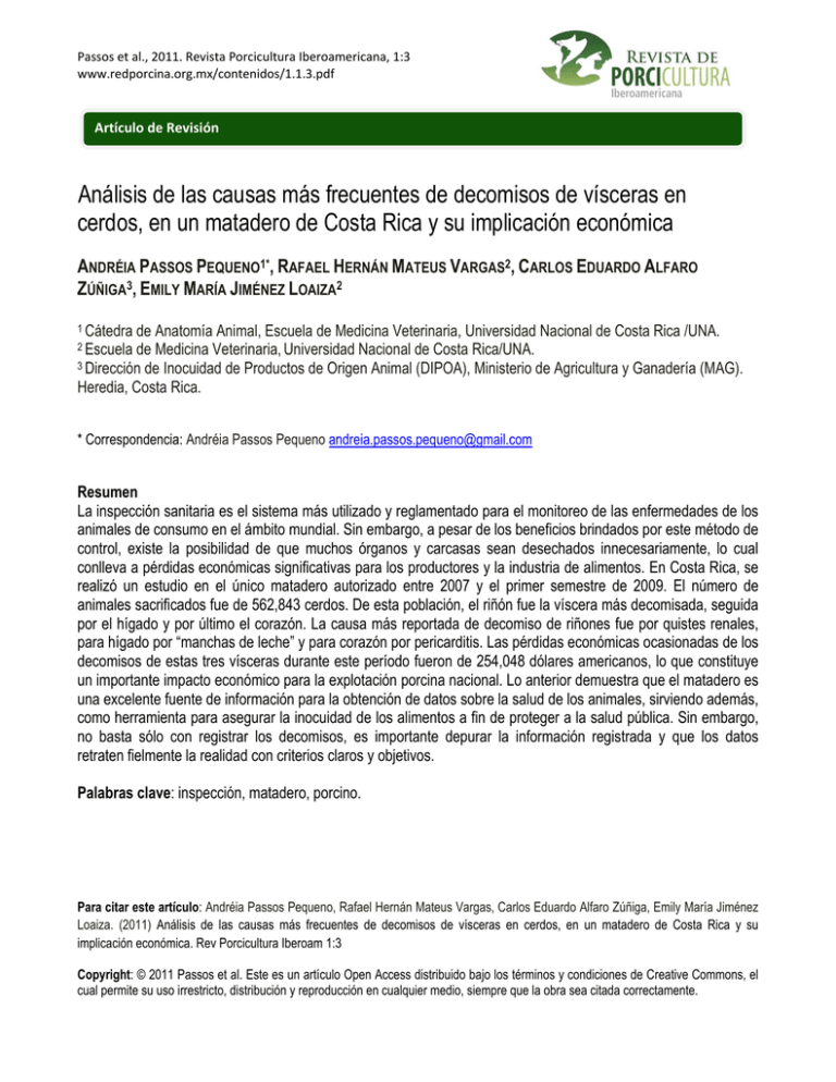 An lisis De Las Causas M s Frecuentes De