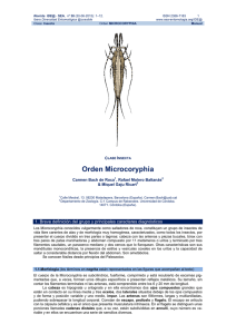 Orden Microcoryphia
