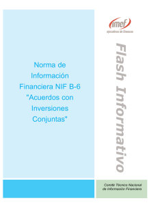 Norma de Información Financiera NIF B-6
