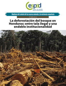La deforestación del bosque en Honduras: entre tala ilegal y una