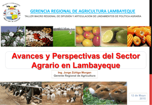 Avances y Perspectivas del Sector Agrario en Lambayeque