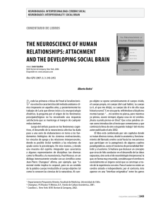 the neuroscience of human relationships: attachment and the