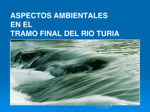 ASPECTOS AMBIENTALES EN EL TRAMO FINAL DEL RIO TURIA
