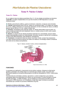 Tema 9: Núcleo Celular - Hipertextos del Área de la Biología
