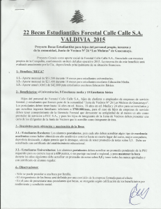 22 Becas Estudiantiles Forestal Calle Calle SA