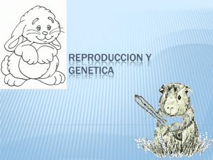 REPRODUCCION Y GENETICA