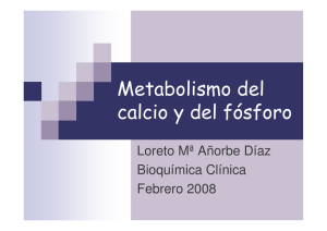 (Microsoft PowerPoint - Metabolismo del calcio y del fósforo