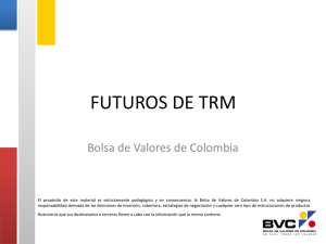 Diapositiva 1 - Bolsa de Valores de Colombia