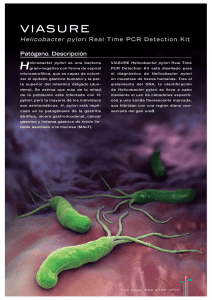 Patógeno. Descripción Helicobacter pylori Real Time PC R