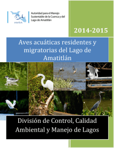 Informe de Aves acuáticas 2014-2015