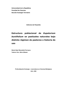 Estructura poblacional de Eupatorium buniifolium en pastizales