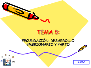 TEMA 1 - WordPress.com