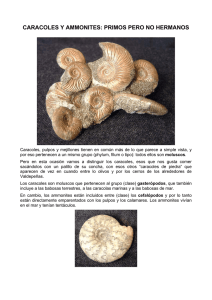 caracoles y ammonites: primos pero no hermanos