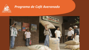 ¿Qué es el Café Averanado? - Federación Nacional de cafeteros