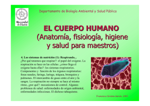 EL CUERPO HUMANO (Anatomía, fisiología, higiene y salud para