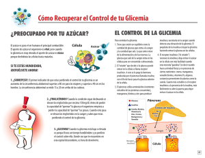 Cómo Recuperar el Control de tu Glicemia