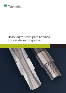 HolloRod™ Series for Progressive Cavity Pumping