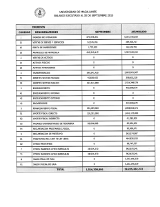 UNIVERSIDAD DE MAGALLANES BALANCE EJECUTADO AL 30