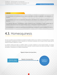 4.3. Homeoquinesis