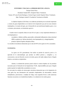 ENTENDER Y TRATAR LA LIPIDOSIS HEPÁTICA FELINA Enrique