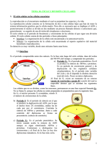 1 TEMA 10: CICLO Y DIVISIÓN CELULARES 1. El ciclo celular en