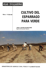 17/1986 - Ministerio de Agricultura, Alimentación y Medio Ambiente