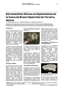 Estromatolitos Silíceos en Espeleotemas de la Cueva de Branca