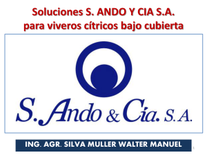 S. Ando y CIA SA