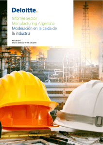 Informe Sector Manufacturing Argentina N14