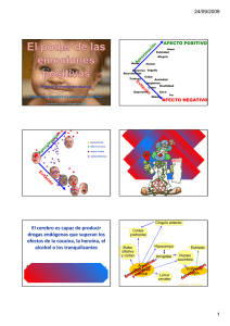 El cerebro es capaz de producir drogas endógenas que superan los