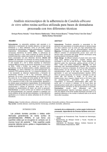 Análisis microscópico de la adherencia de Candida albicans in vitro