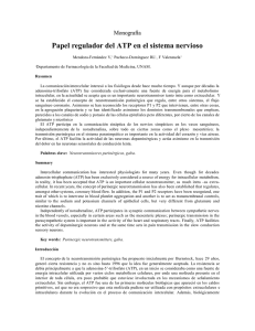 Papel regulador del ATP en el sistema nervioso - E-journal