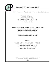 INDUCTORES DE RESISTENCIA A TuMV EN Arabidopsis thaliana