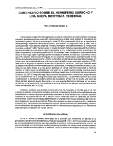 COMENTARIO SOBRE EL HEMISFERIO DERECHO Y UNA NUEVA