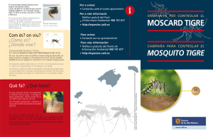 Trítptic moscard tigre - Govern de les Illes Balears