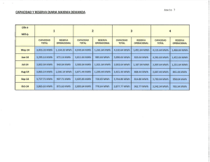 capacidad y reserva diaria maxima demanda