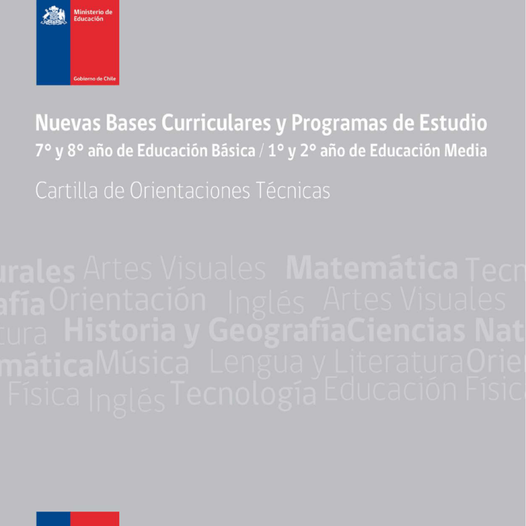 Bases Curriculares, Planes Y Programa De