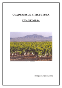 cuaderno de viticultura uva de mesa