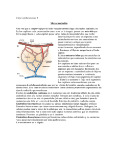 Clase cardiovascular 3 Microcirculación Una vez