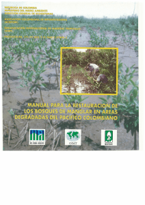 Manual para la restauración de los bosques de manglar en