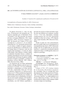 241. LECTOTIPIFICACIÓN DE EUONYMUS LATIFOLIUS (L.) MILL