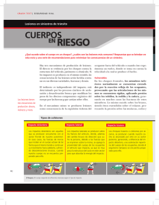 PDF - Lesiones en siniestros de tránsito