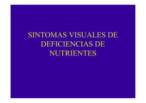 SINTOMAS VISUALES DE DEFICIENCIAS DE NUTRIENTES