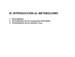 III. INTRODUCCIÓN AL METABOLISMO
