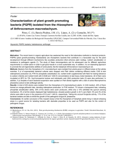 Characterization of plant growth promoting bacteria (PGPR) isolated
