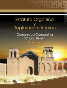 estatuto orgánico y reglamento interno comunidad campesina