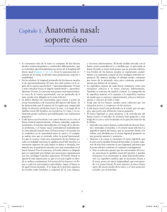 Capítulo 1. Anatomía nasal: soporte óseo
