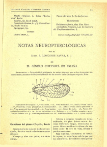 NOTAS NEUROPTEROLÓGICAS