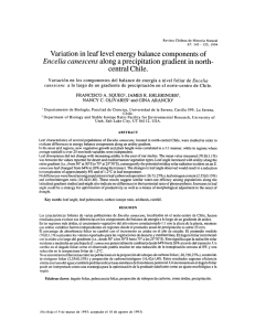 Variation in leaf level energy balance components of Encelia