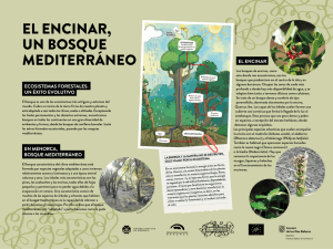 EL ENCINAR, UN BOSQUE ¿al MEDITERRÁNEO